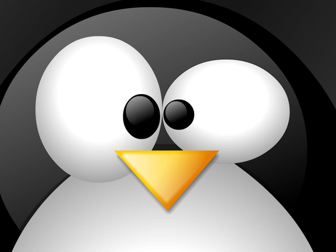 Vilka är några grundläggande kommandon för att hantera filer och kataloger i Linux?